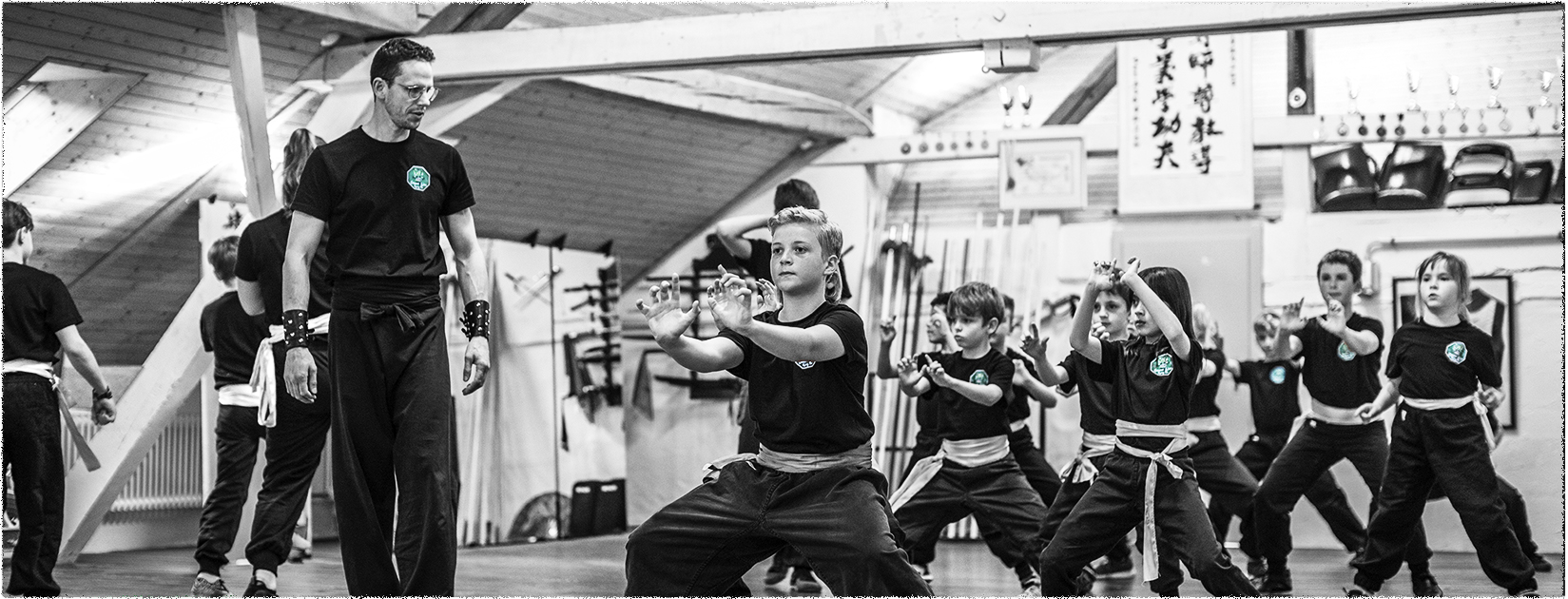 greenlion kinder kung fu