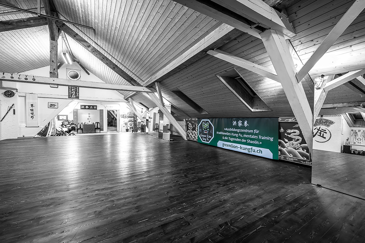 benutzt instagram 2019 04 12 GreenLion KungFu Schule 0685 sw farbe